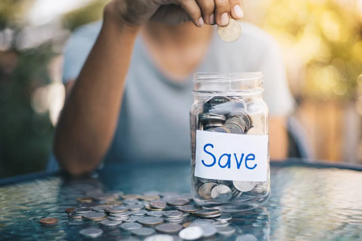 صورة للادخار المالي