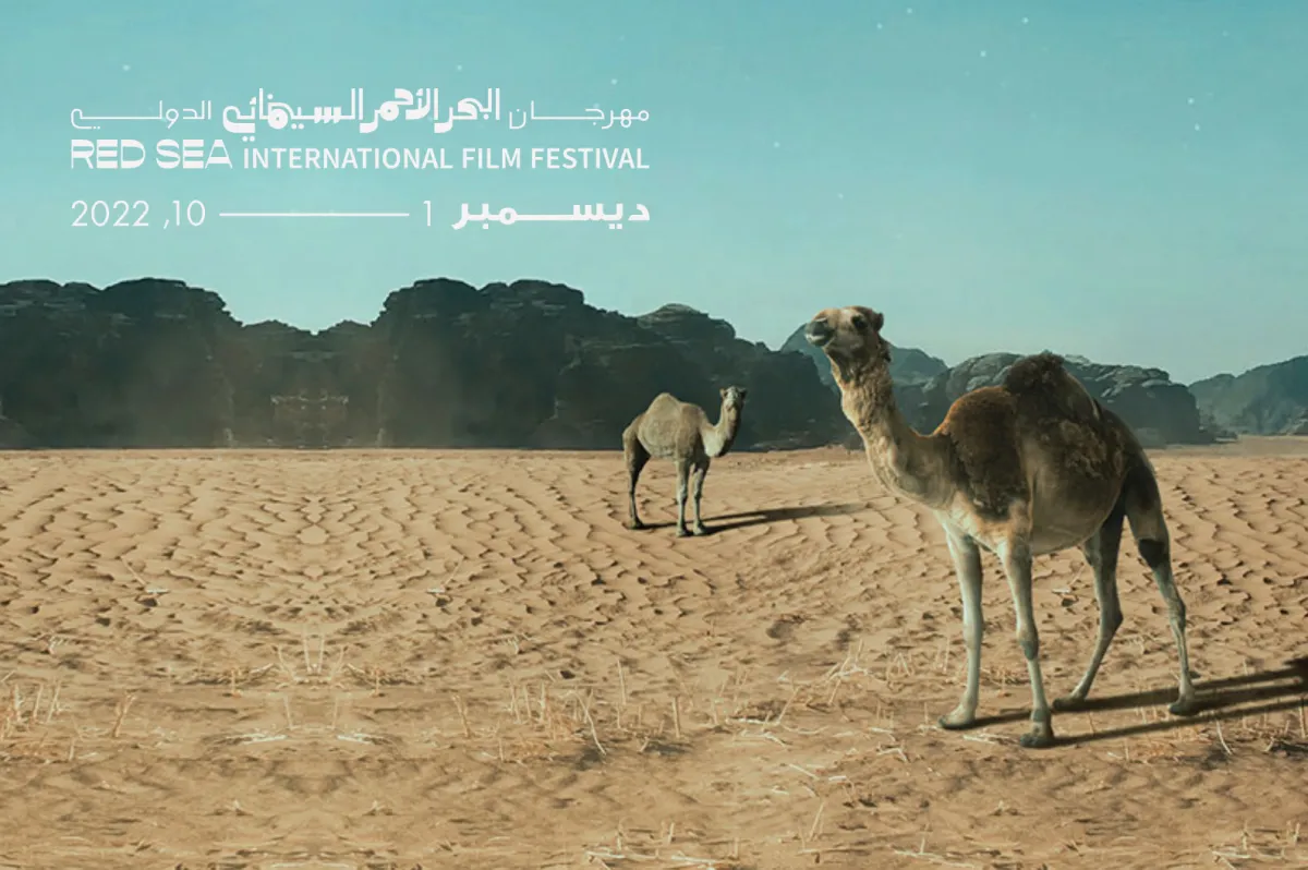 مهرجان البحر الأحمر .. دليلكم الكامل لفعاليات دورته الثانية