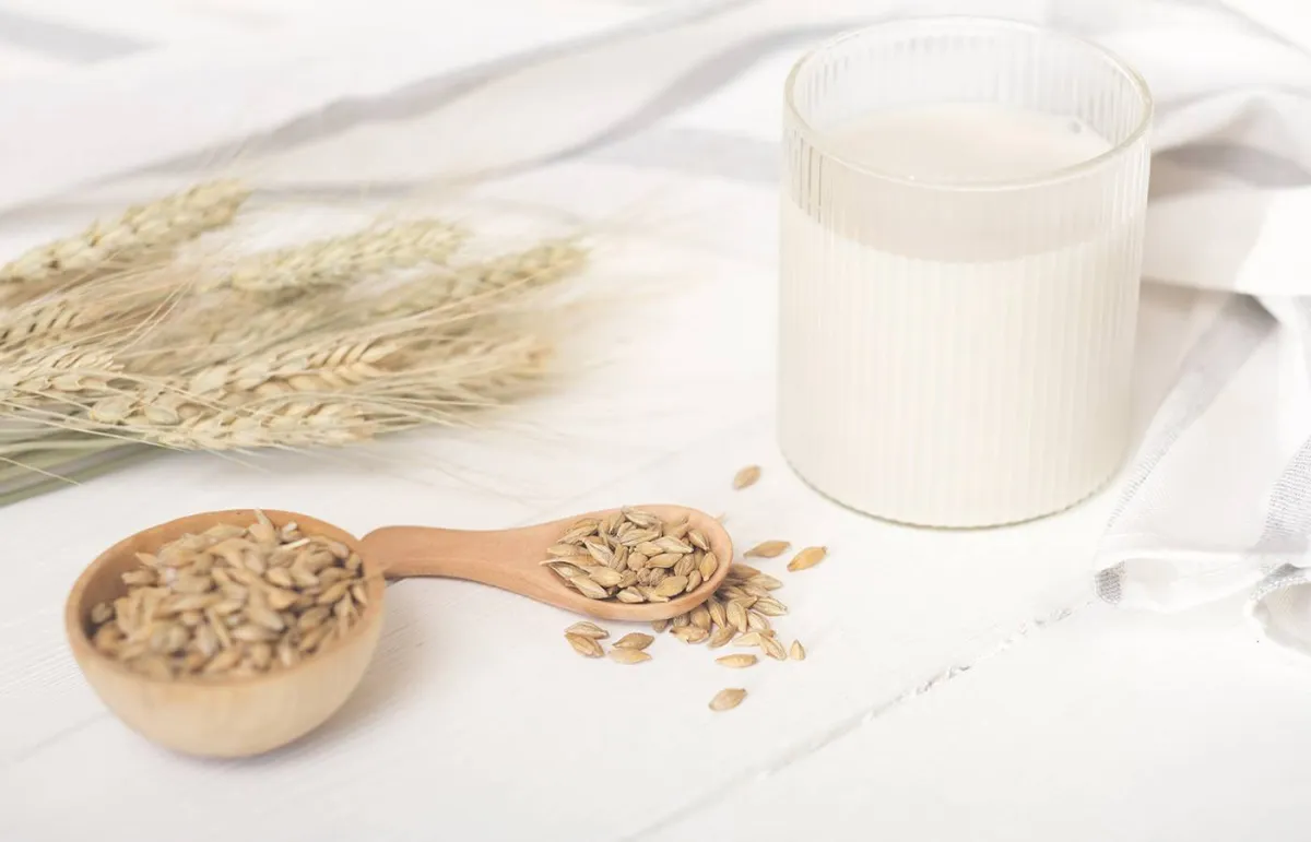 فوائد مغلي الشعير الصحية