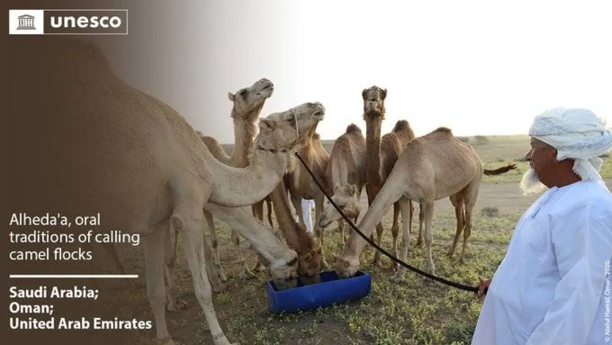 حداء الإبل والبن الخولاني في اليونسكو