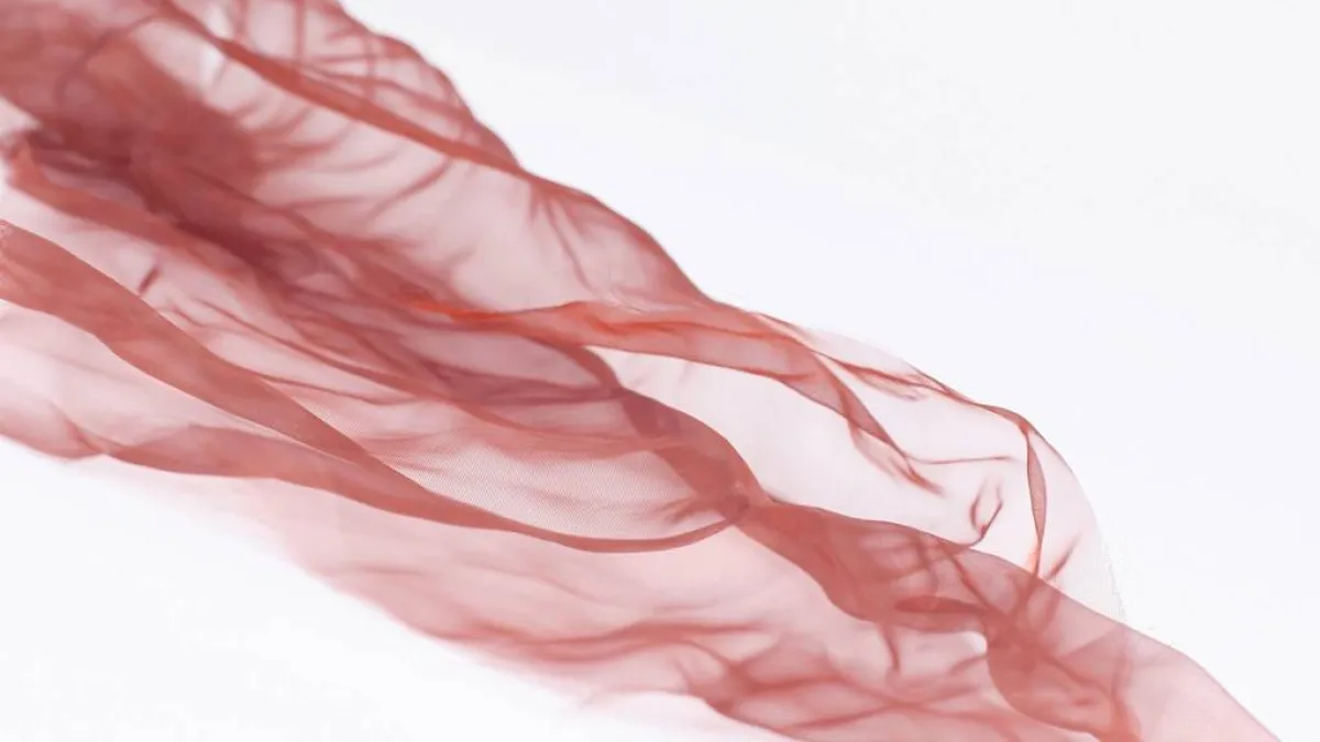 الحرير نسيج رقيق