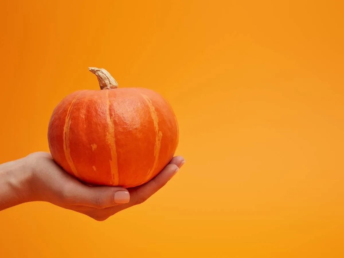 صورة لخضار اليقطين