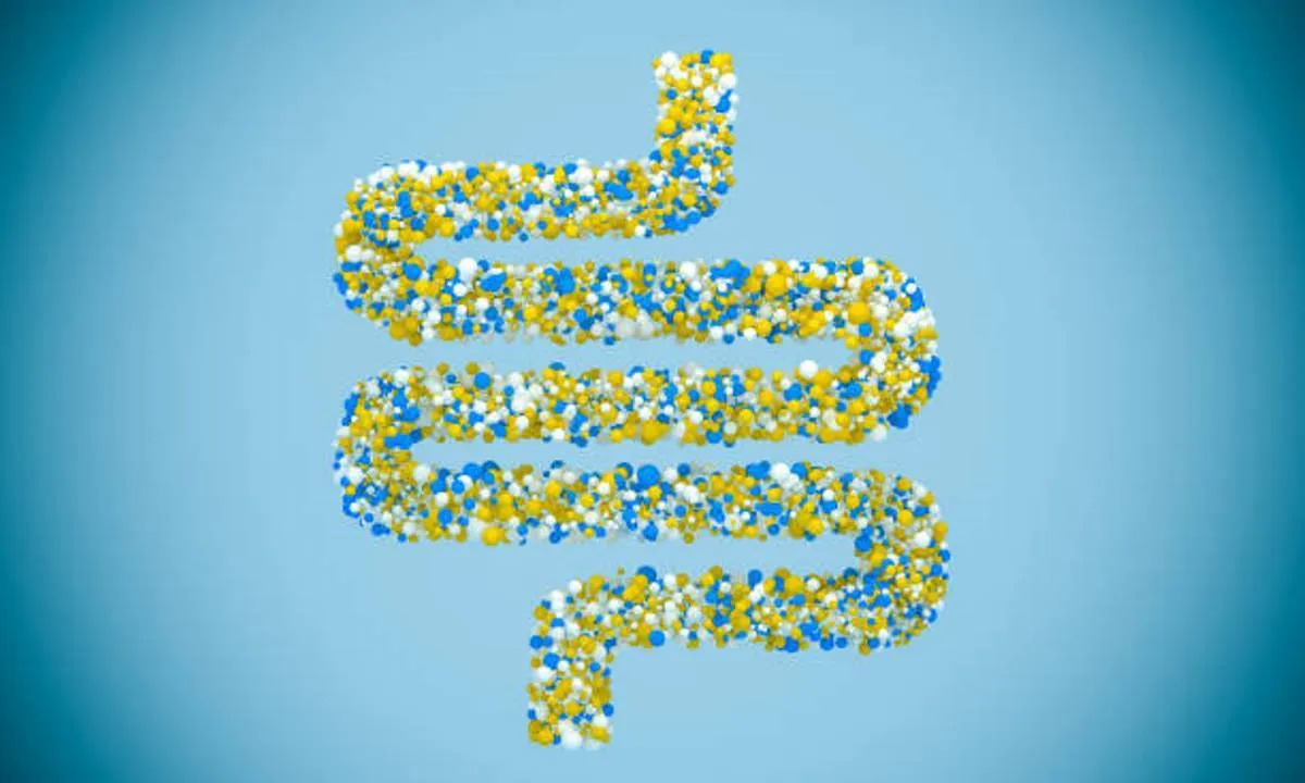 صورة تعبر عن كثرة أنواع البكتيريا النافعة