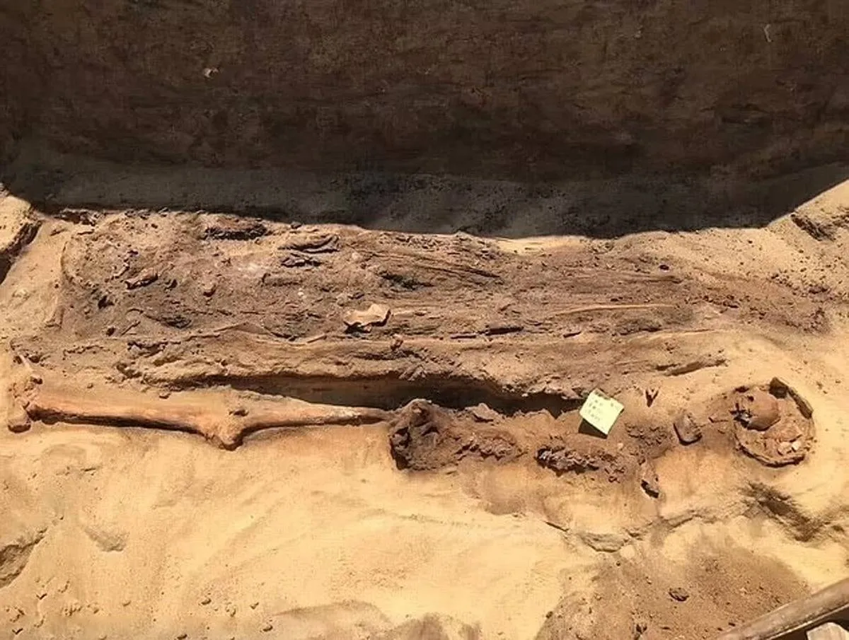 مومياوات بـ ألسنة ذهبية فما قصتها