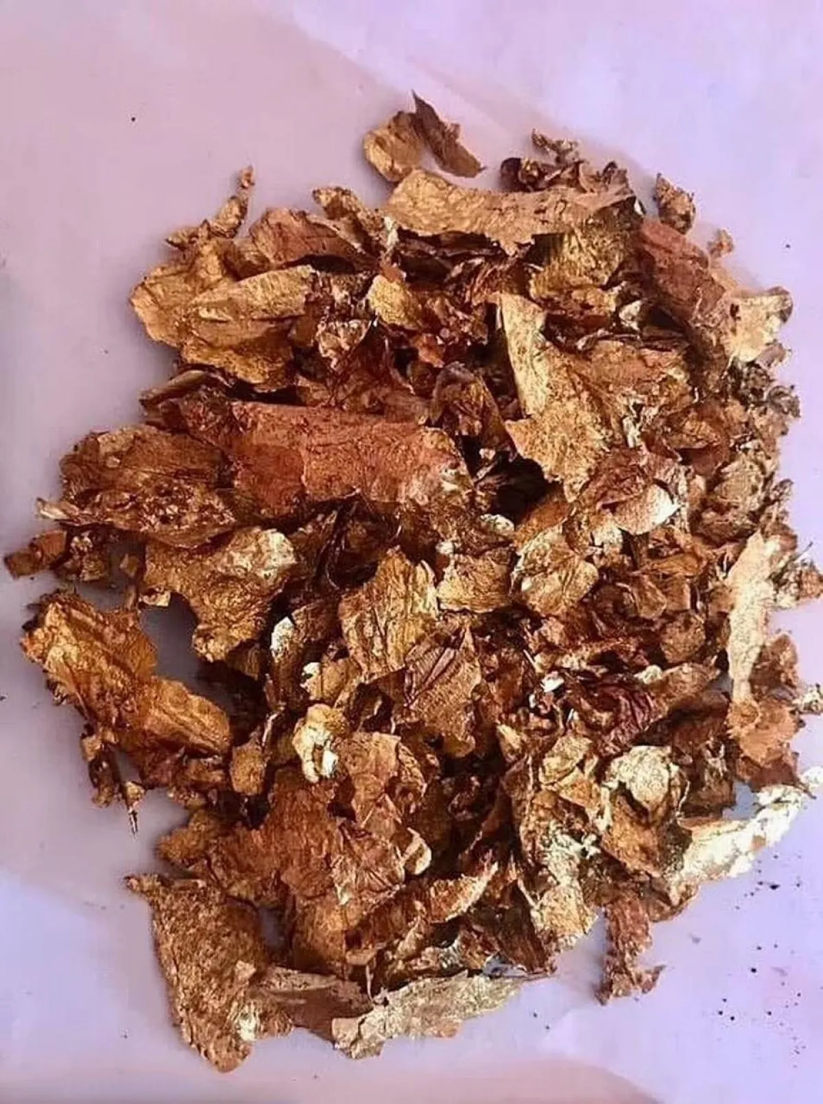 مومياوات بـ ألسنة ذهبية فما قصتها
