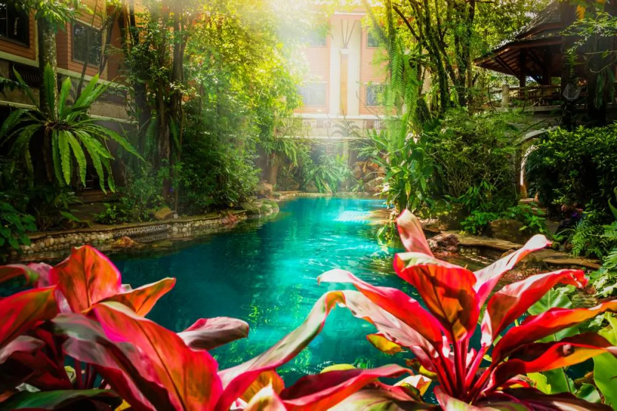 الطبيعة في بالي  