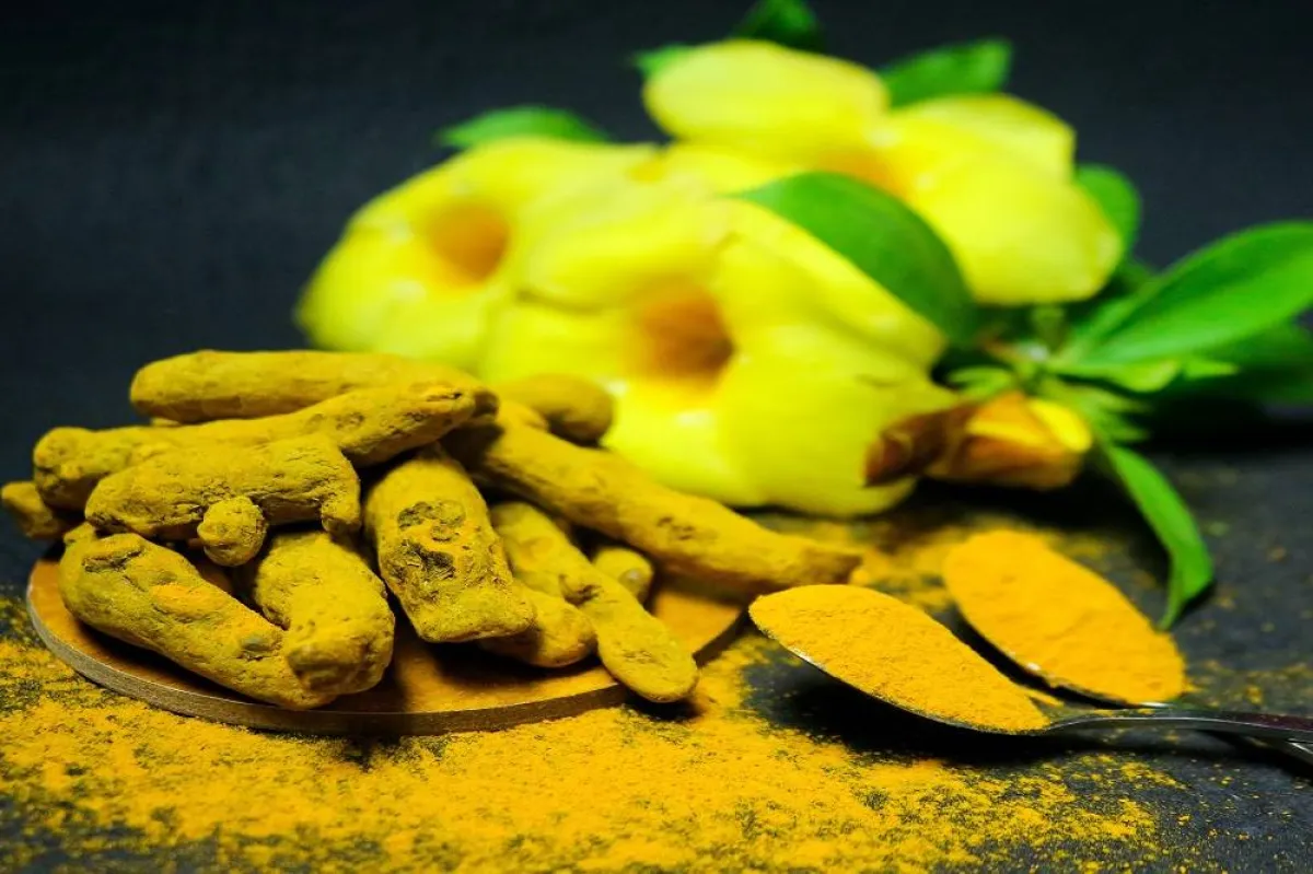 فوائد الزنجبيل الأخضر مع الكركم "خارقة" للصحة (المصدر: Pexels)