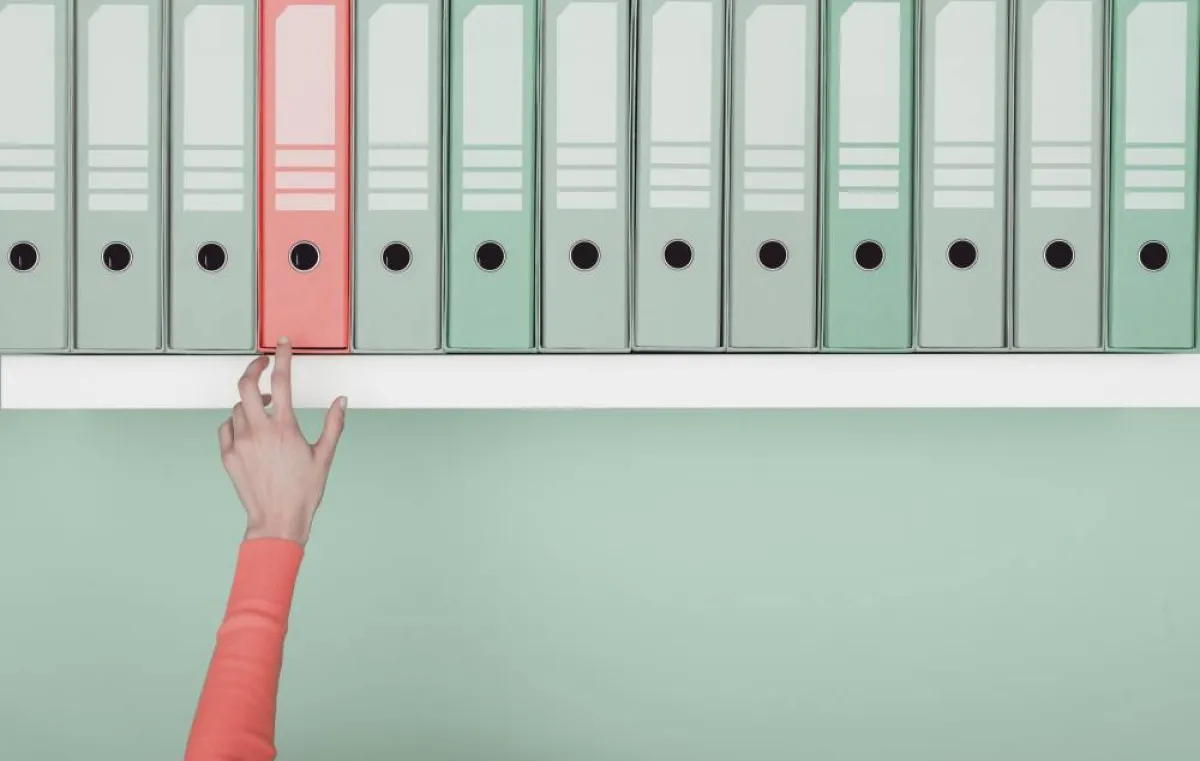 مهام التنظيم من الإدارة