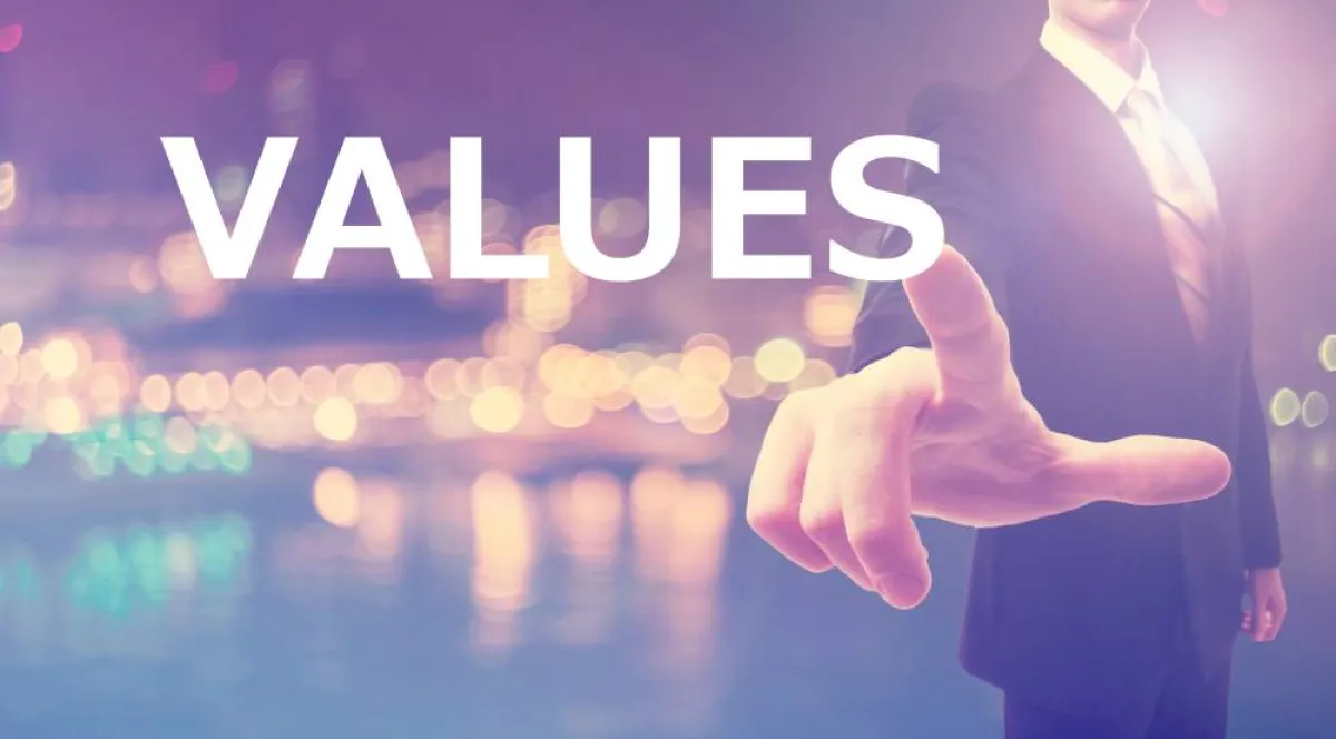 ما هي قيم الشركة؟