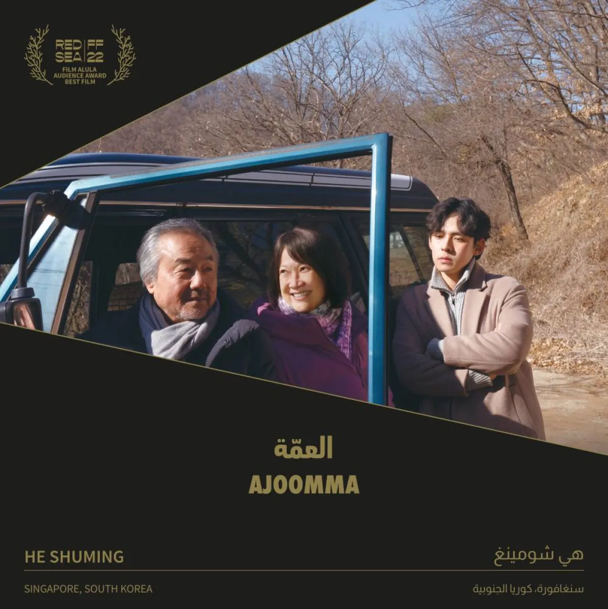 مهرجان البحر الأحمر