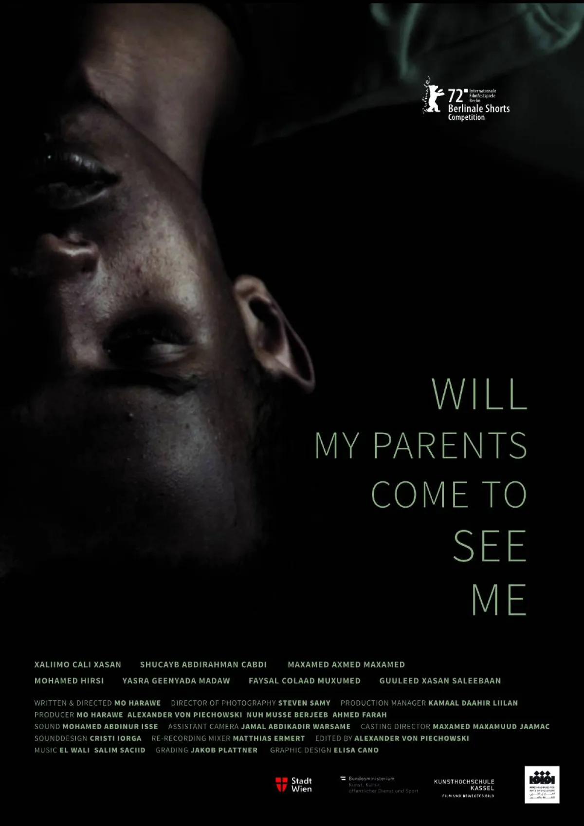 مهرجان البحر الأحمر