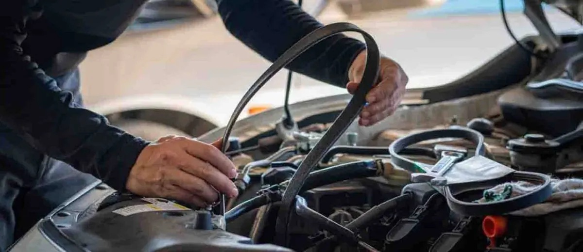 قشاط التايمنج وعلامات تلفه 