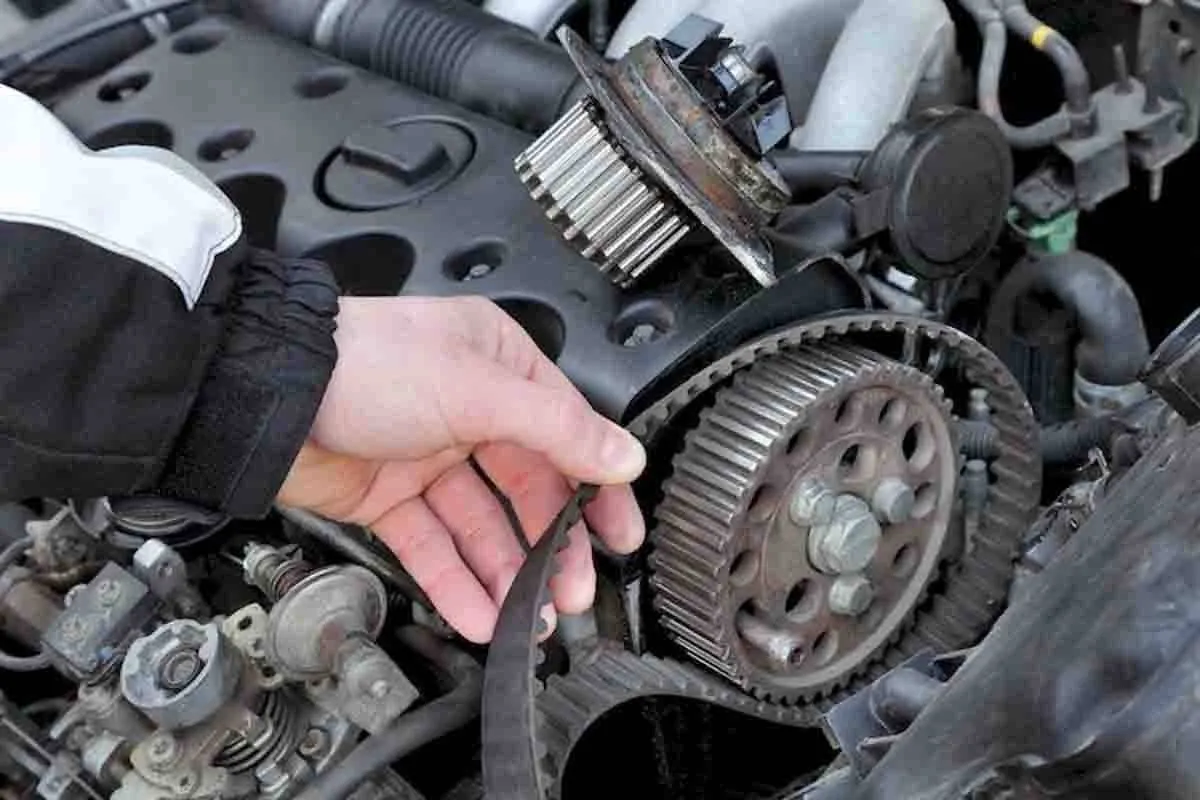 قشاط التايمنج وعلامات تلفه 