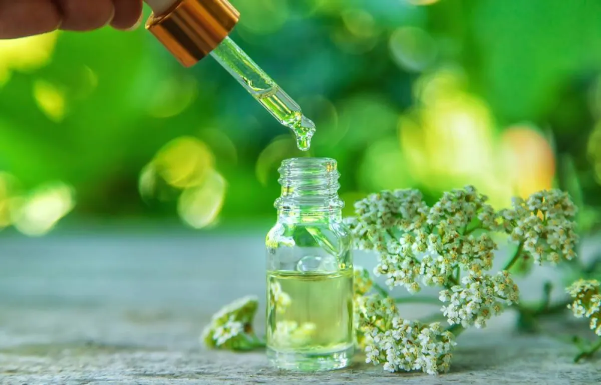 فوائد عشبة القيصوم