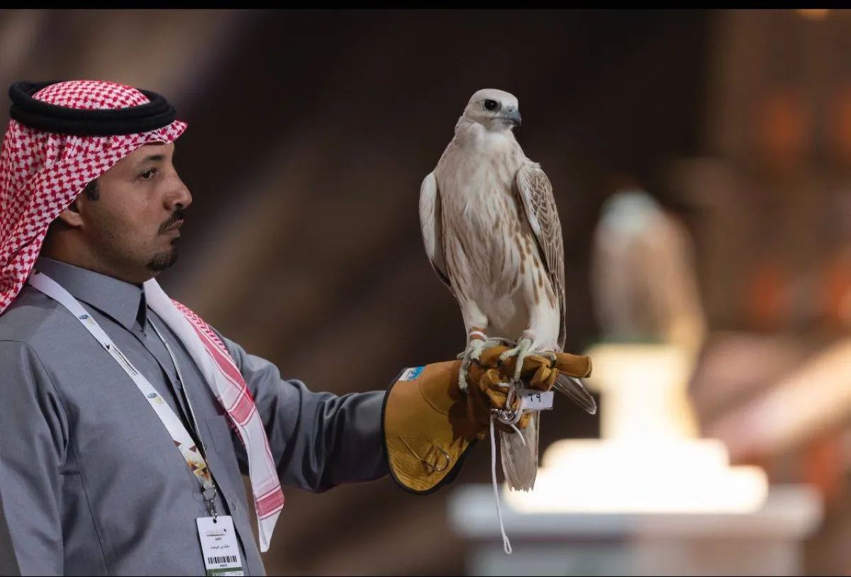 انطلاق مسابقة المزاين بمهرجان الملك عبد العزيز للصقور