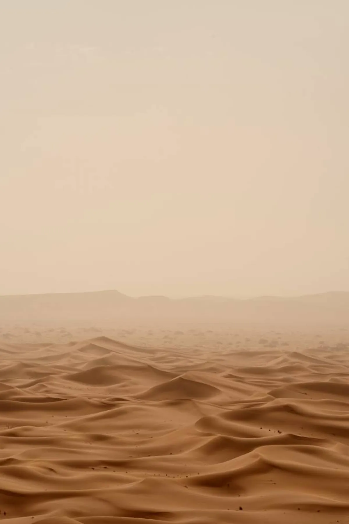  الصحراء الصحراء