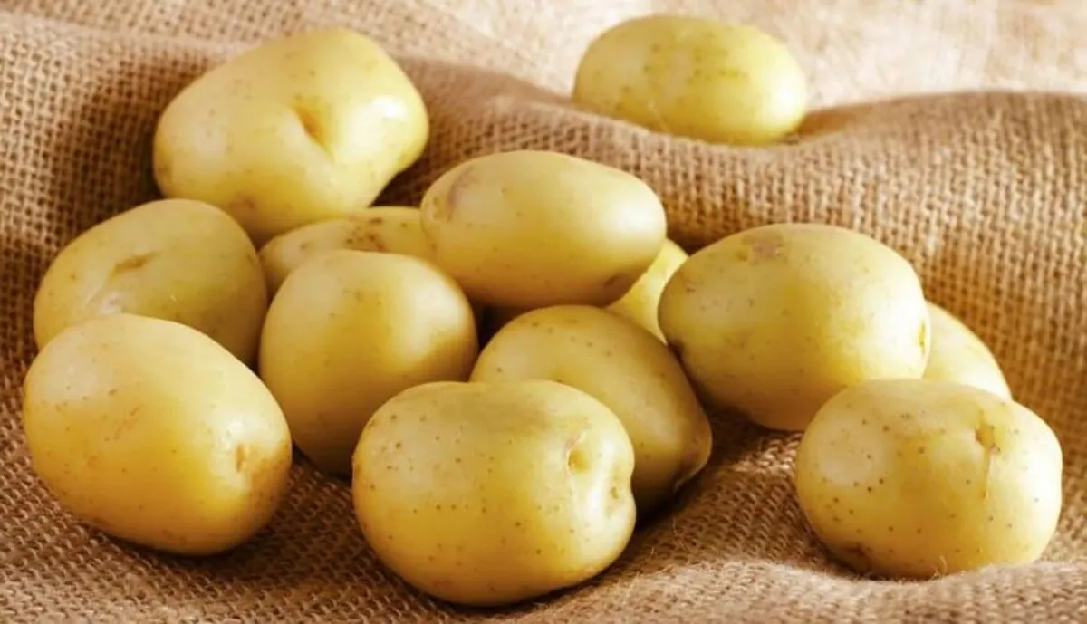 أشياء كانت مكروهة في الماضي والآن أصبحت ذات شعبية