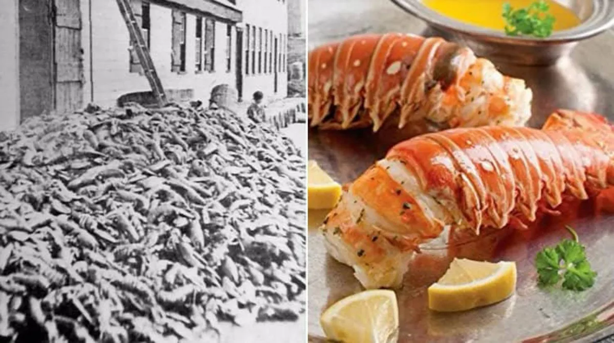 أشياء كانت مكروهة في الماضي والآن أصبحت ذات شعبية