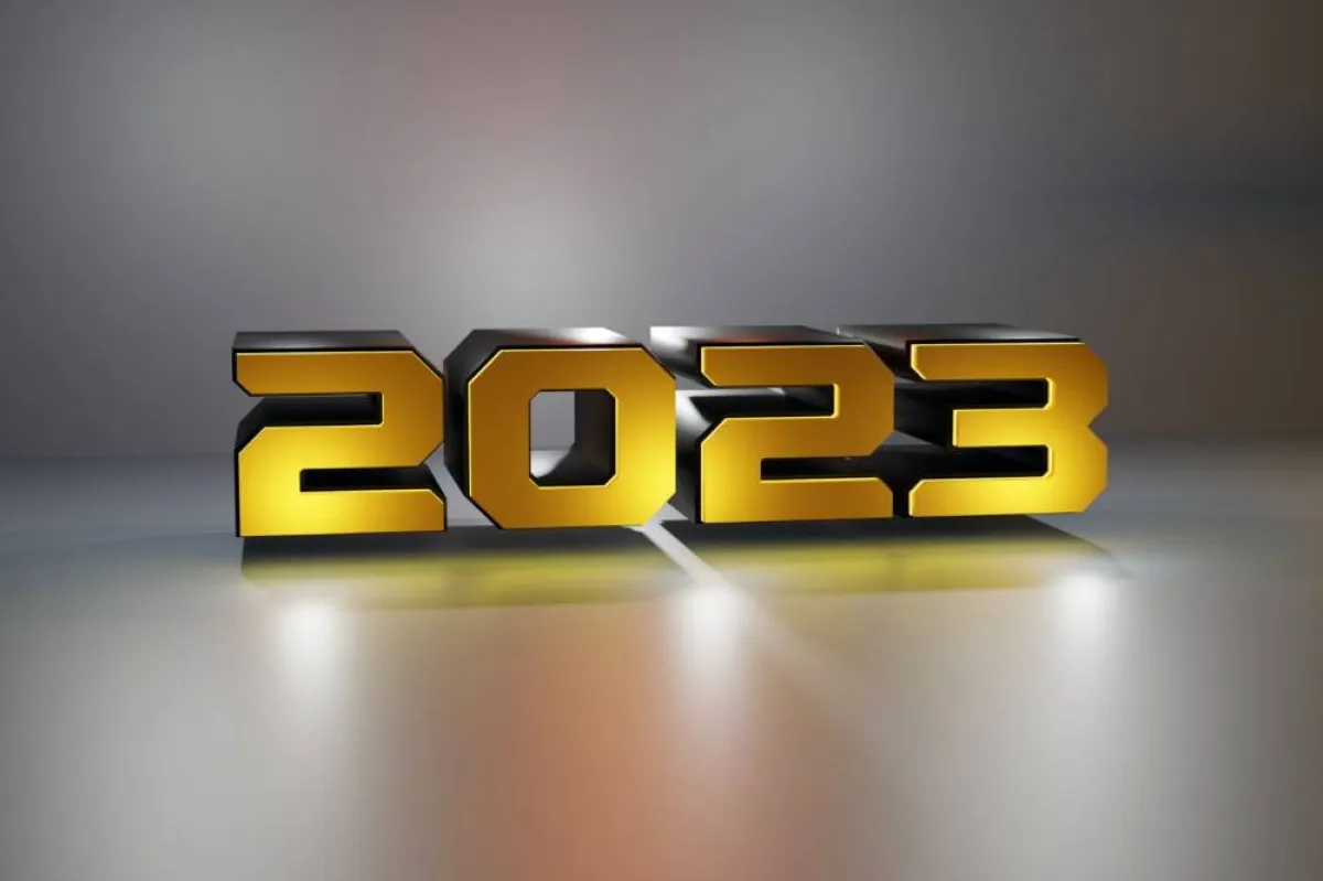 العام الجديد