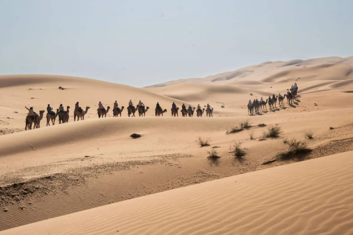 رحلة الهجن- الصورة من مركز حمدان بن محمد لإحياء التراث 
