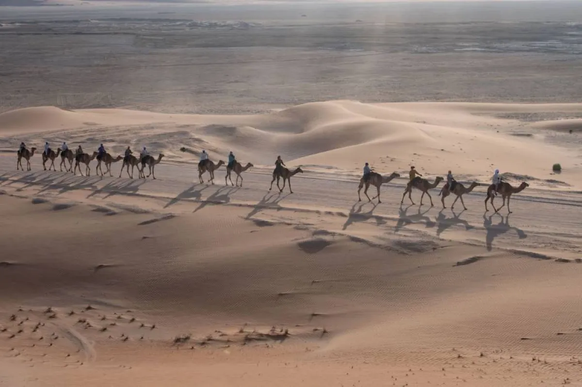 رحلة الهجن- الصورة من مركز حمدان بن محمد لإحياء التراث 