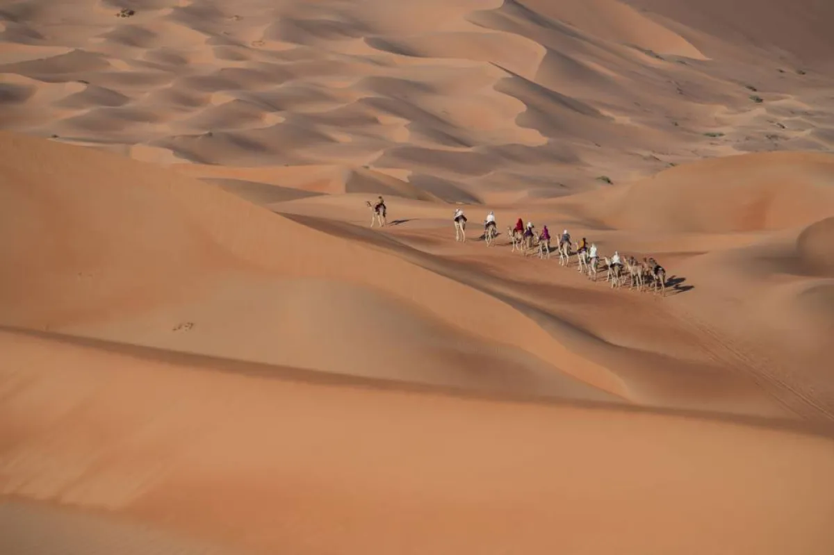 رحلة الهجن- الصورة من مركز حمدان بن محمد لإحياء التراث 