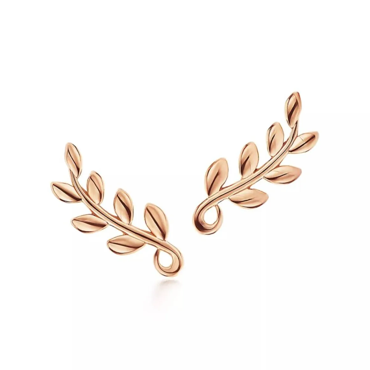 أقراط Olive Leaf Climber من تيفاني آند كو Tiffany&Co 
