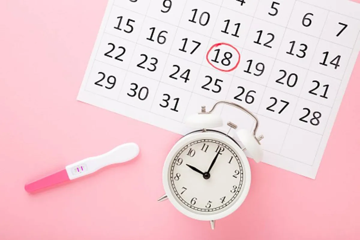 صورة تعبر عن أهمية أيام التبويض لحدوث الحمل