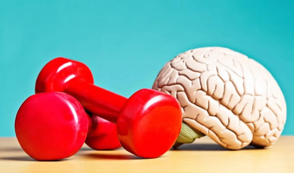 صورة تعبر عن الذكاء العقلي