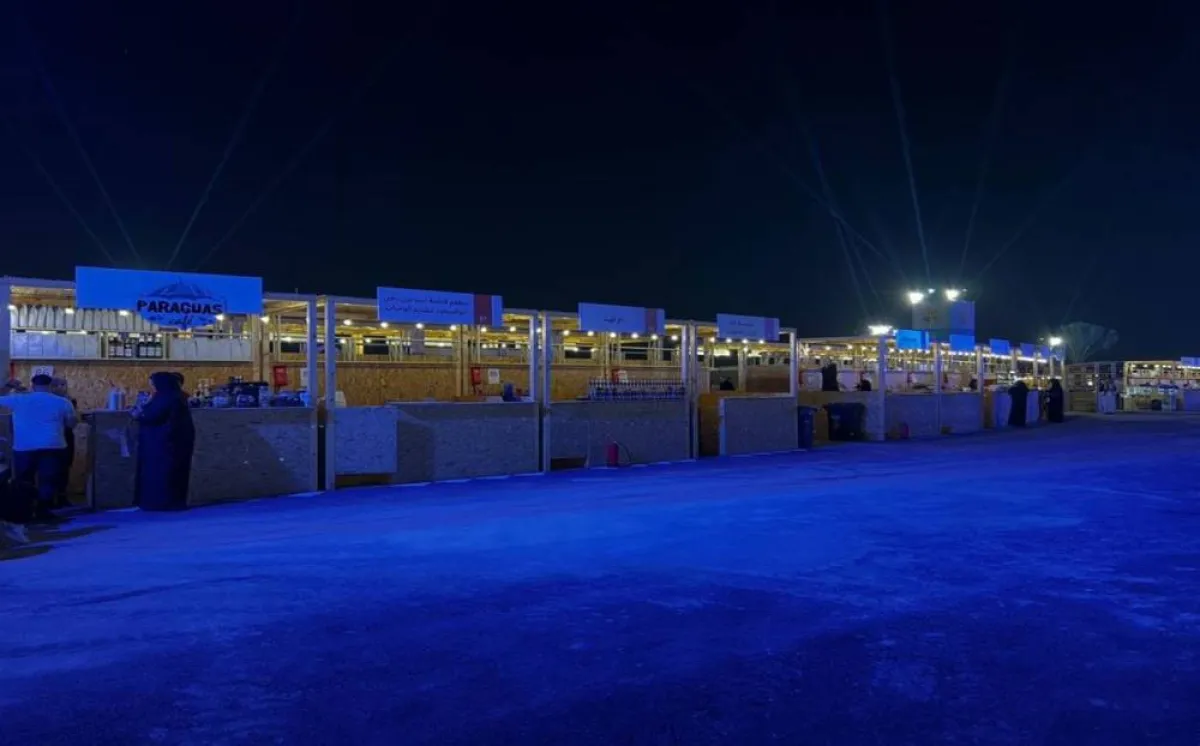 مهرجان فيست - تصوير منال الغلث