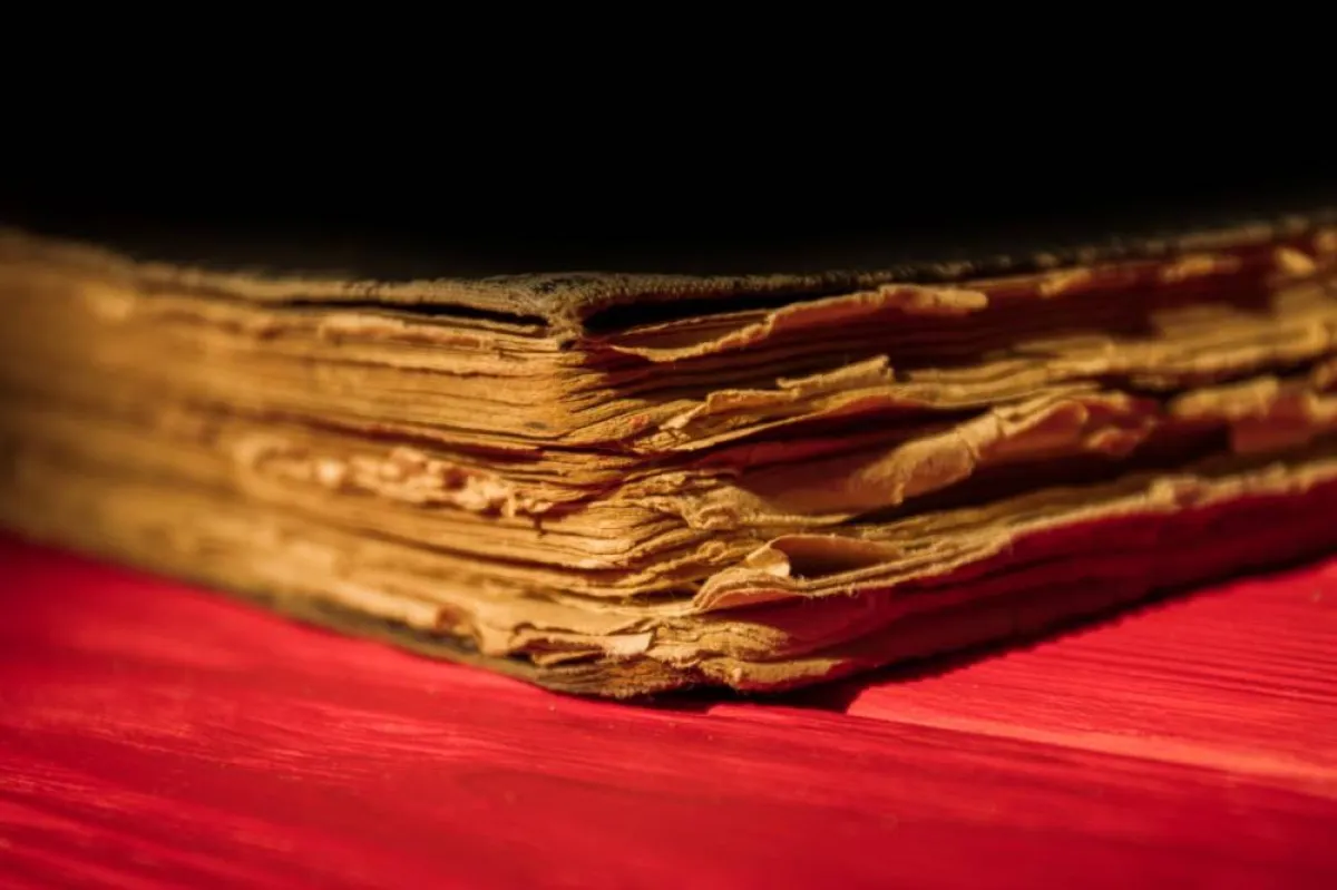 أشهر 5 كتاب ومبدعين فى تاريخ العرب