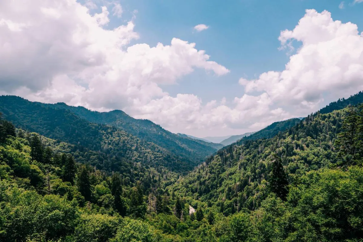 صورة للتلال