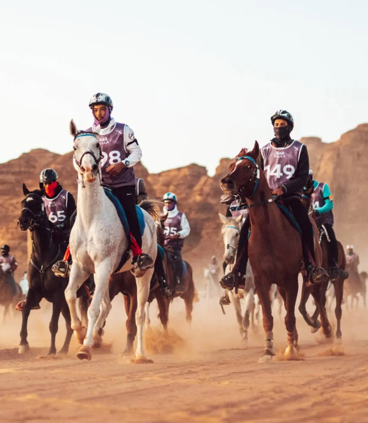 بولو الصحراء