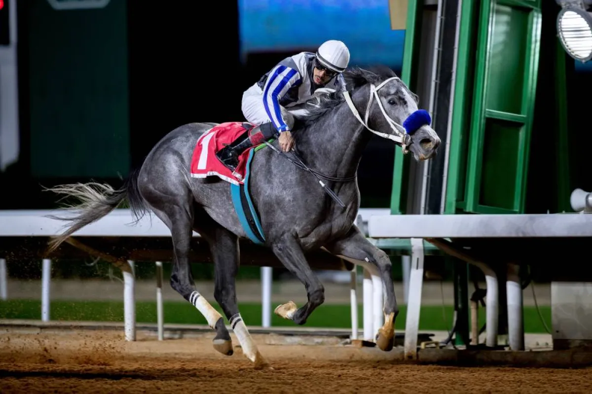 الفرس قربه وخيالها عادل الفريدي