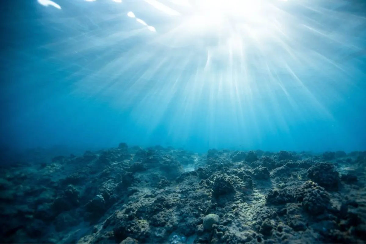 أعماق المحيط