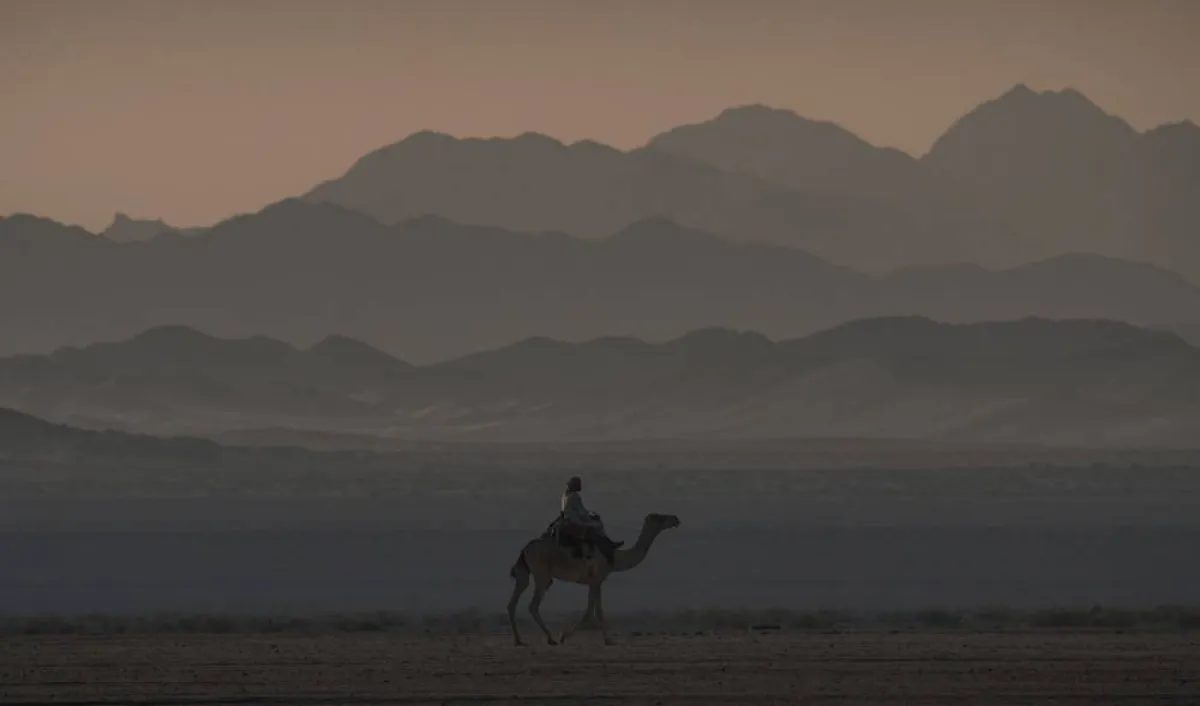 رياض عبدالإله الملاحي