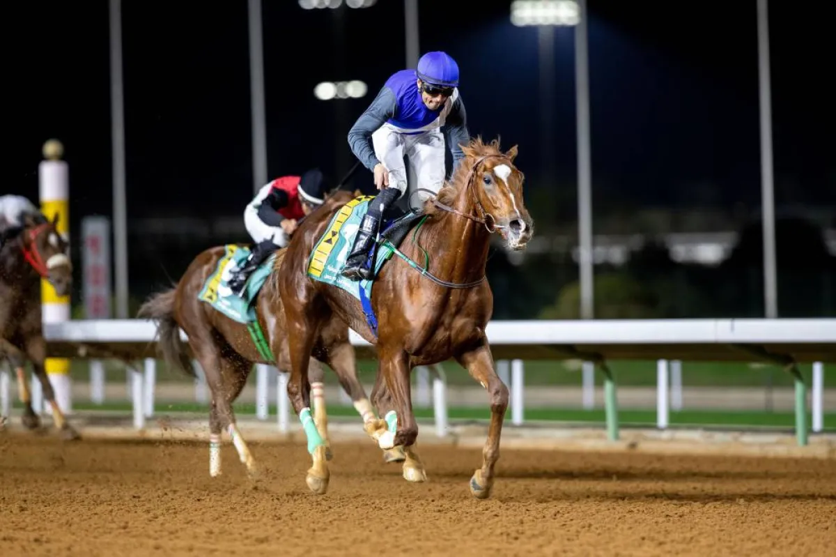 الجواد مدهر برفقة خياله محمد االنفزي