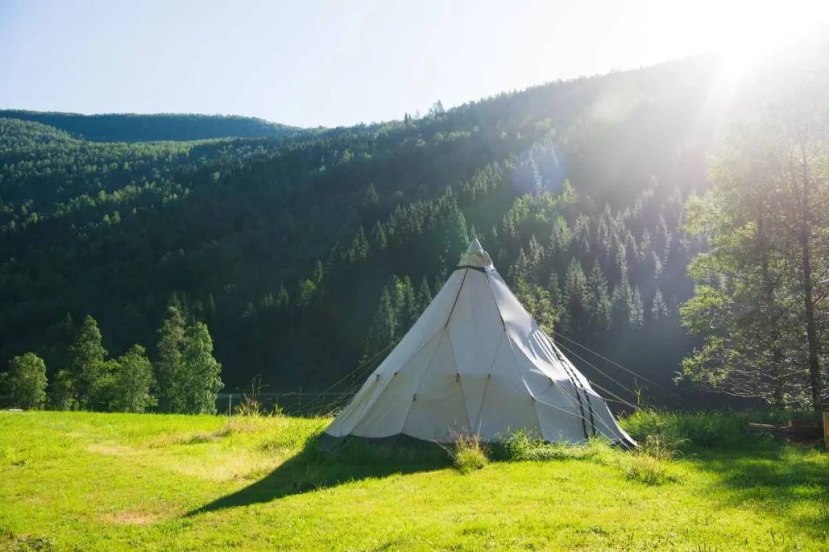 حياة البرية- صورة تعبيرية