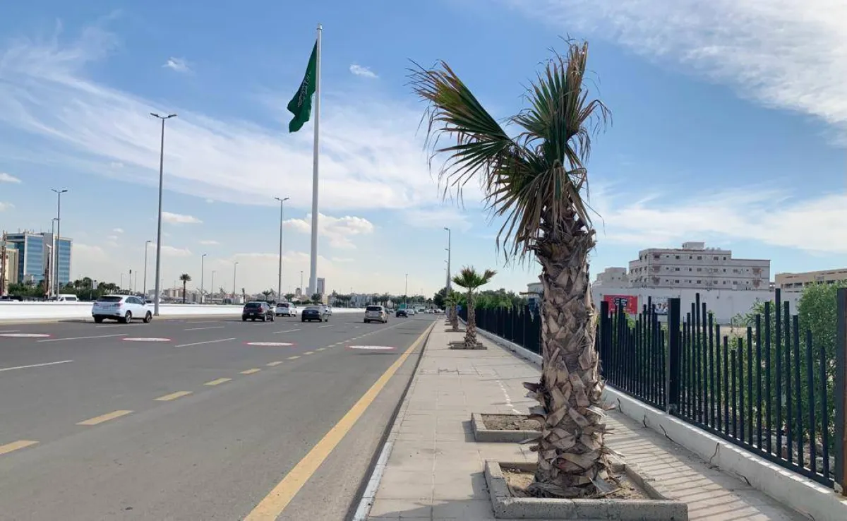 أمانة جدة  تسوير وبناء 649 أرضٍ فضاء في الطرق الرئيسة