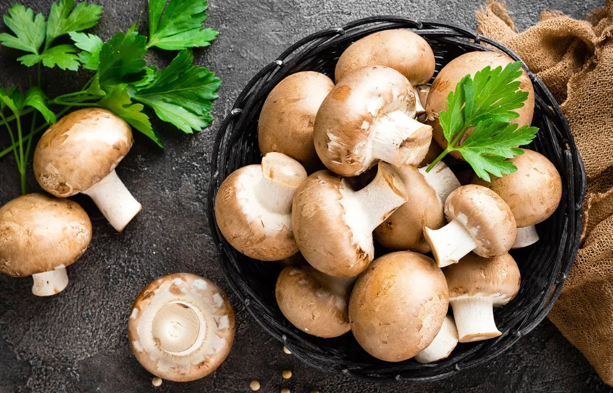 فوائد الفطر للصحة