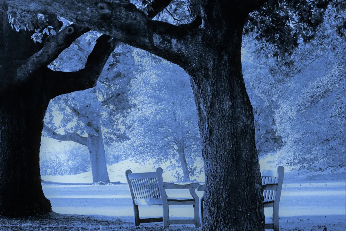 عاصفة ثلجية بالكويت