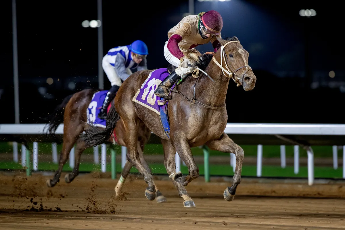 الجواد الخطيب. الصورة من نادي سباقات الخيل