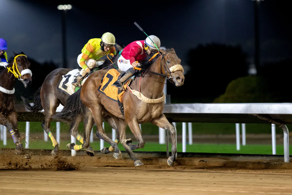 الجواد يمتاز. الصورة من نادي سباقات الخيل
