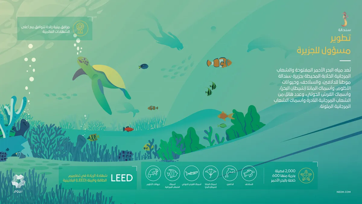 تطوير مسؤول للجزيرة