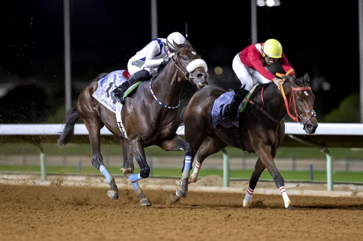 ترقب في أوساط عشاق الخيل لـ"كأسَي وليّ العهد" بنسختهما الـ57  - الصورة من نادي الفروسية