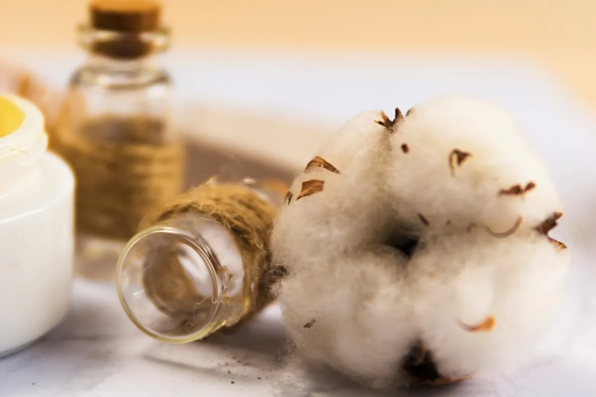 زيوت طبيعية للشعر