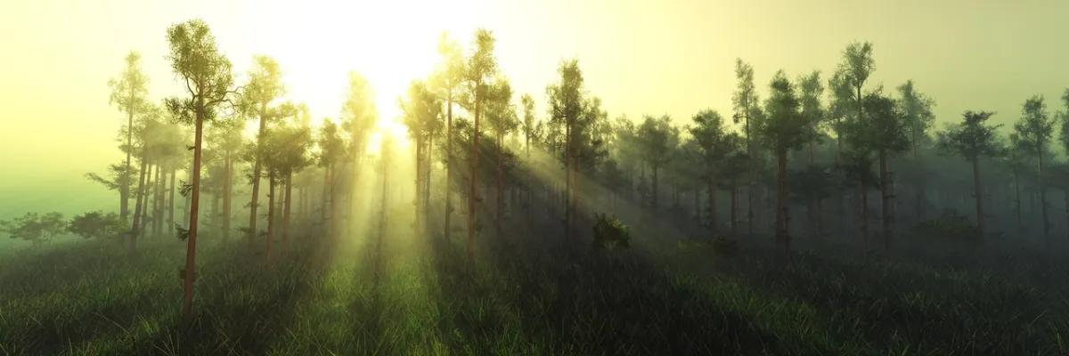 صورة للضباب الخفيف