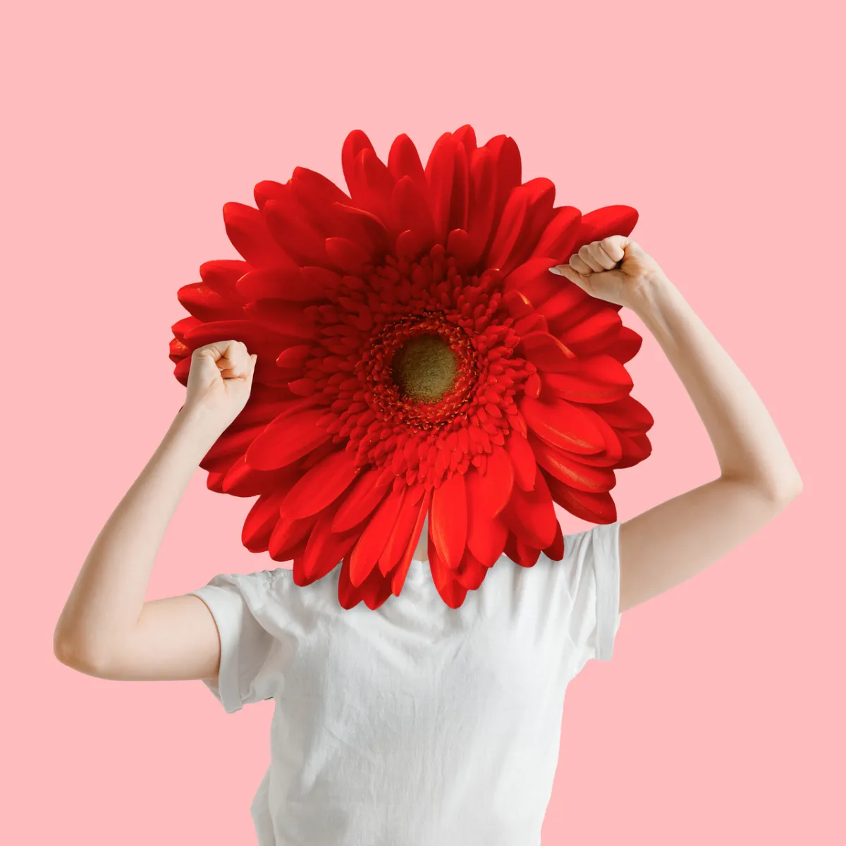 صورة للورد الأحمر