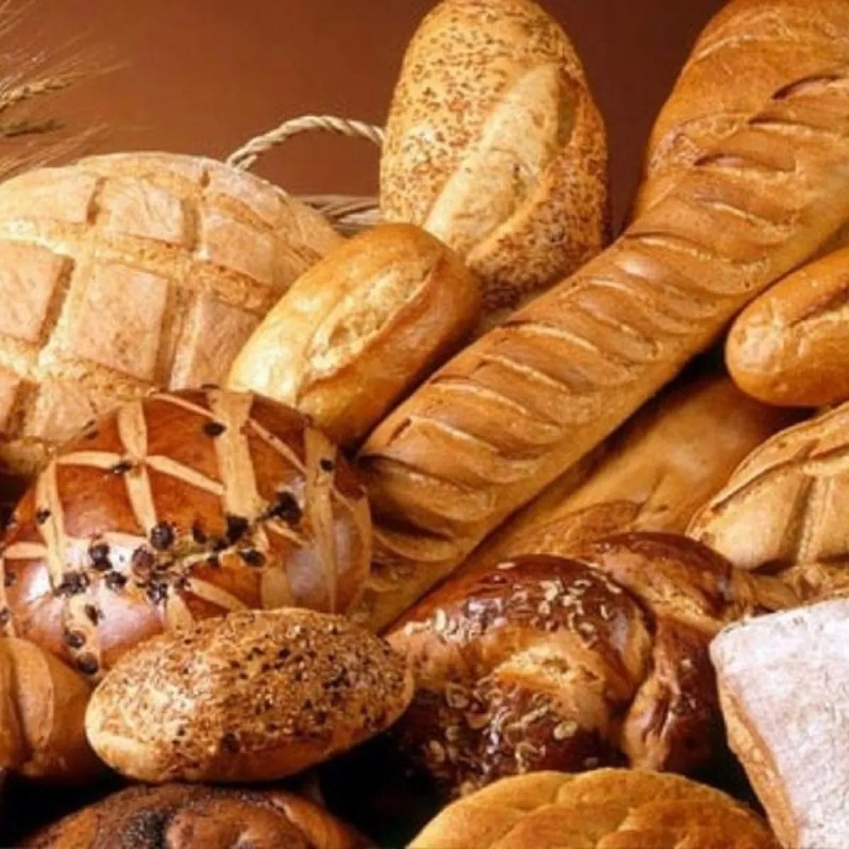 صورة لعدد من أرغفة الخبز