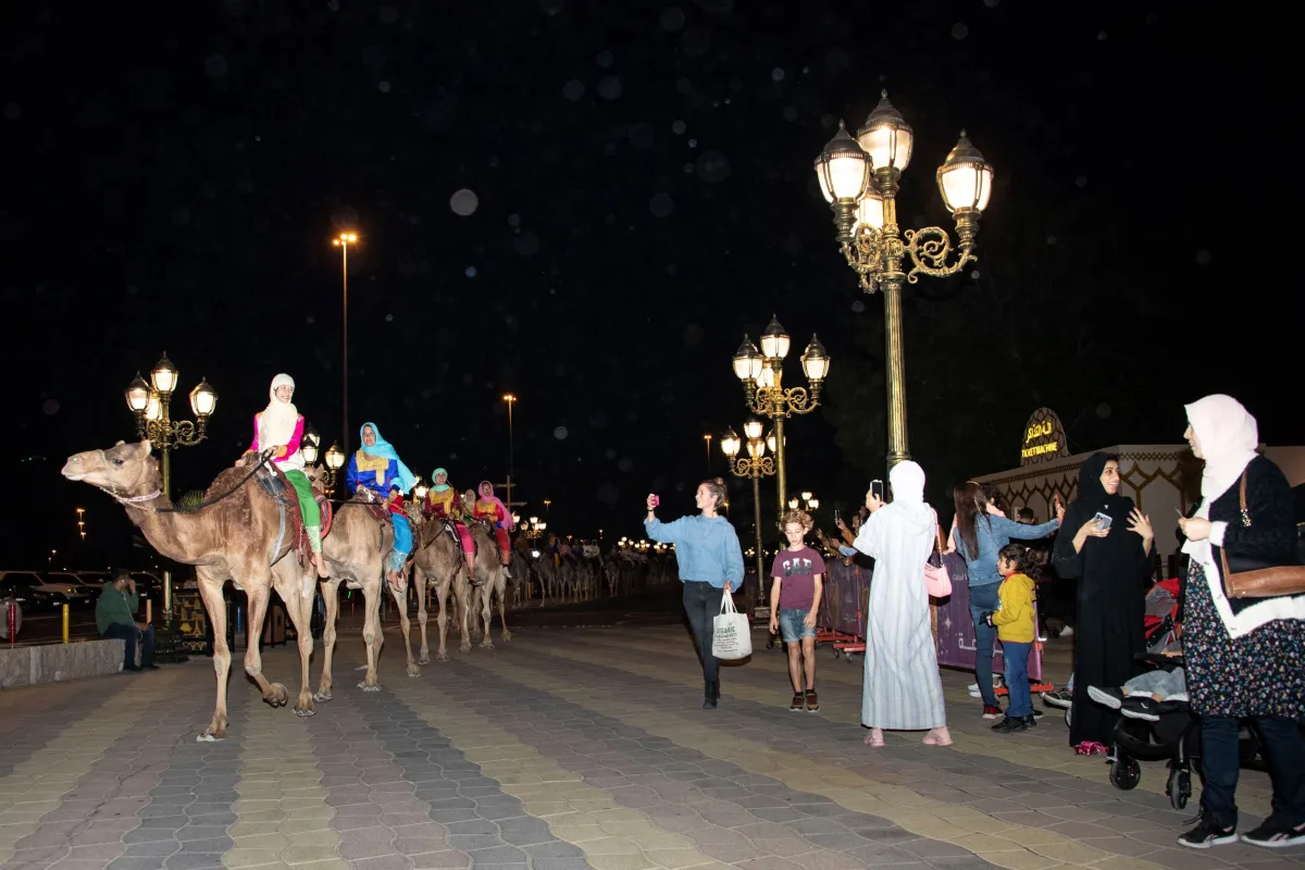 رحلة الهجن- الصورة من مركز حمدان بن محمد لإحياء التراث 